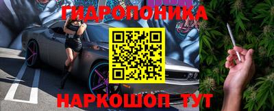стаф Обь