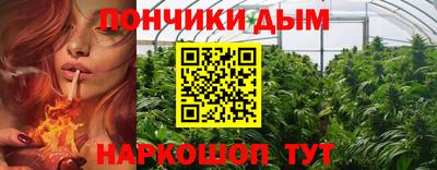 стаф Обь