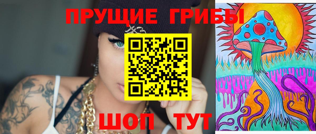 Топки  Псилоцибиновые грибы Cubensis  закладка  Вход с VPN 